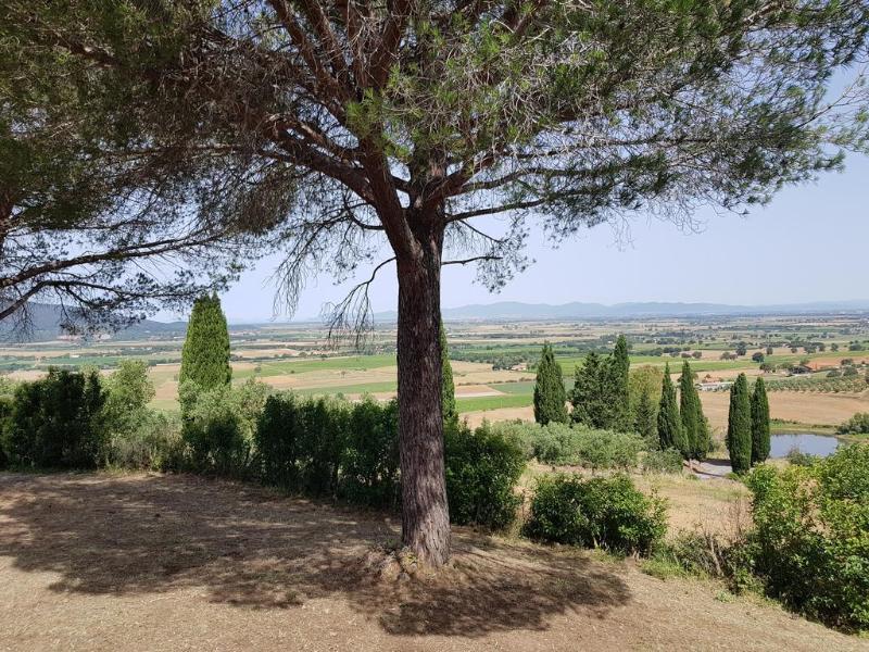 Poggio Alto Agrioturismo Villa Гросето Екстериор снимка